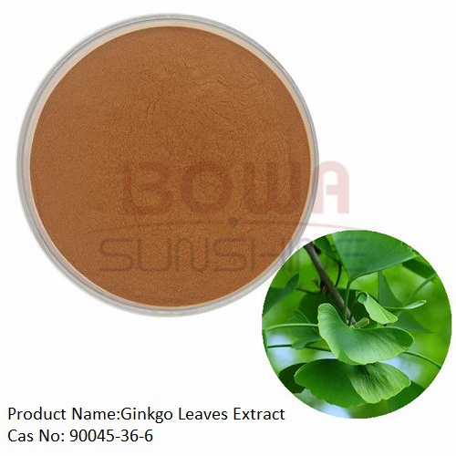 Ginkgo Leaves Extract